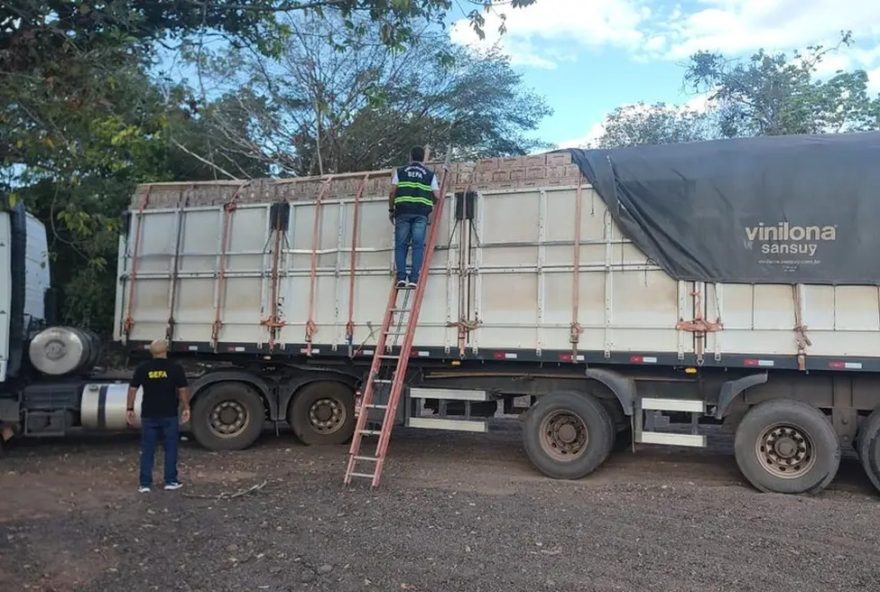 fiscais-apreendem-25-toneladas-de-acai-e-77-mil-garrafas-de-aguardente-no-para3A-detalhes-e-valores-das-cargas