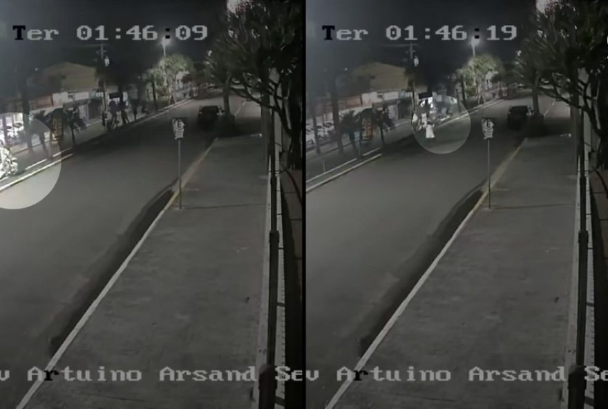 flagrante-de-furto-de-pinheirinho-de-natal-em-parobe3A-populacao-se-mobiliza-para-resolver-o-caso flagrante-de-furto-de-pinheirinho-de-natal-em-parobe3A-populacao-se-mobiliza-para-resolver-o-caso