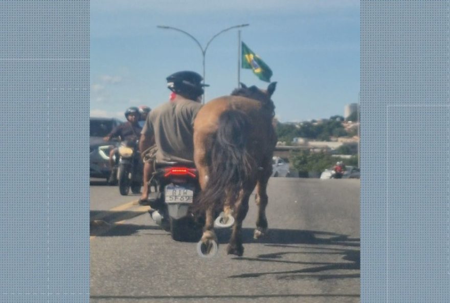 flagrante-de-homem-conduzindo-cavalo-em-moto-e-repudiado-em-nova-iguacu3A-seguranca-no-transito-e-prioridade