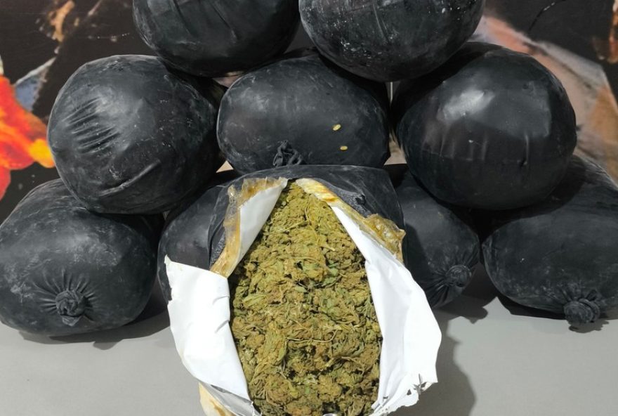 flor-de-maconha-e-interceptada-em-onibus-na-br-3653A-segunda-apreensao-em-24h