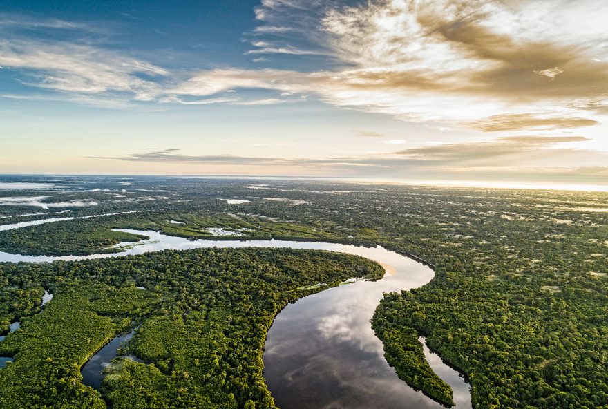 floresta-amazonia-2019