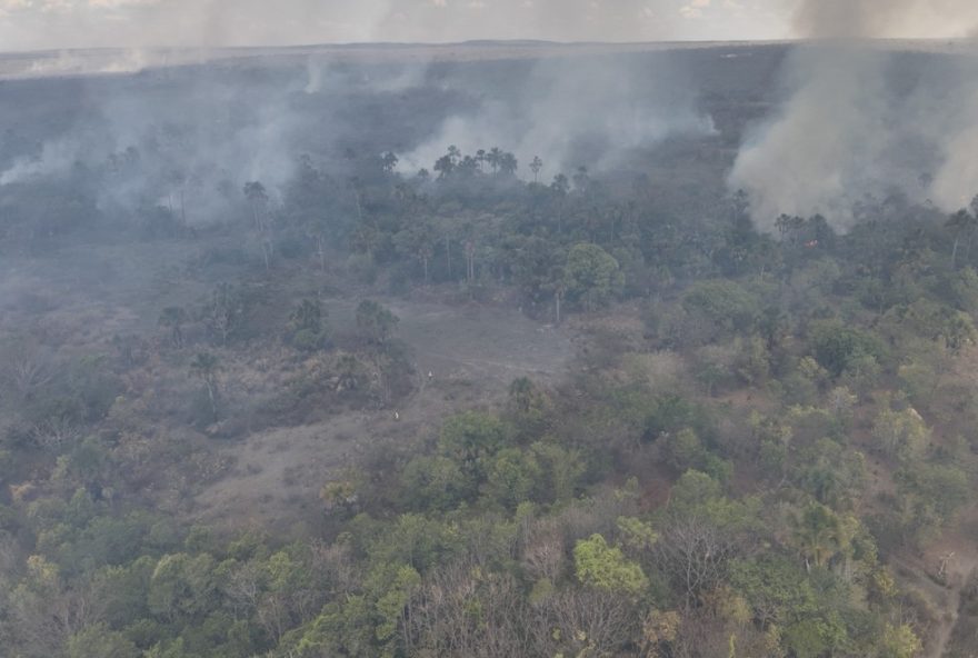 forca-tarefa-combate-incendio-no-entorno-do-parque-nacional-cavernas-do-peruacu3A-saiba-mais-sobre-a-preservacao-deste-patrimonio-natural