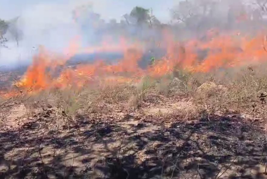 forca-tarefa-combate-incendio-no-parque-nacional-grande-sertao-veredas3A-atualizacoes-e-video