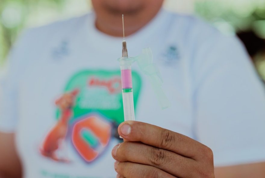 fortaleza-de-realiza-2o-dia-d-de-vacinacao-antirrabica-para-caes-e-gatos3B-veja-locais fortaleza-de-realiza-2o-dia-d-de-vacinacao-antirrabica-para-caes-e-gatos3B-veja-locais