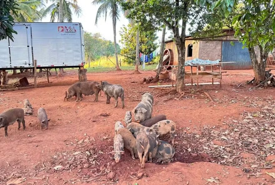 Crime ocorreu em 27 de maio, quando vítima foi encontrada morta na fazenda em que trabalhava há 13 anos. (Foto: Reprodução)