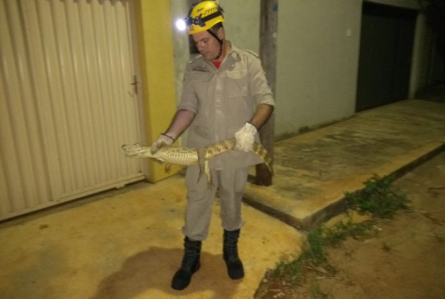 Foto: Corpo de Bombeiros