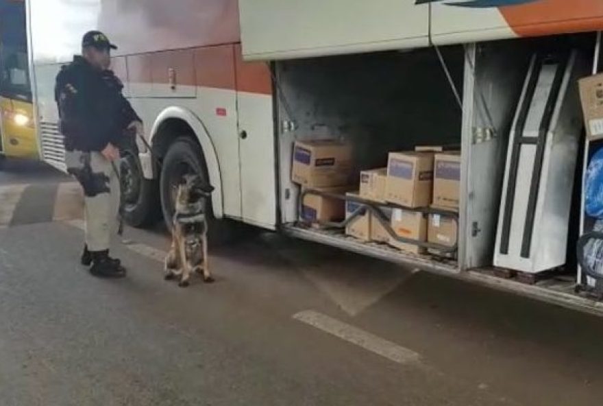 Foto: Polícia Rodoviária Federal