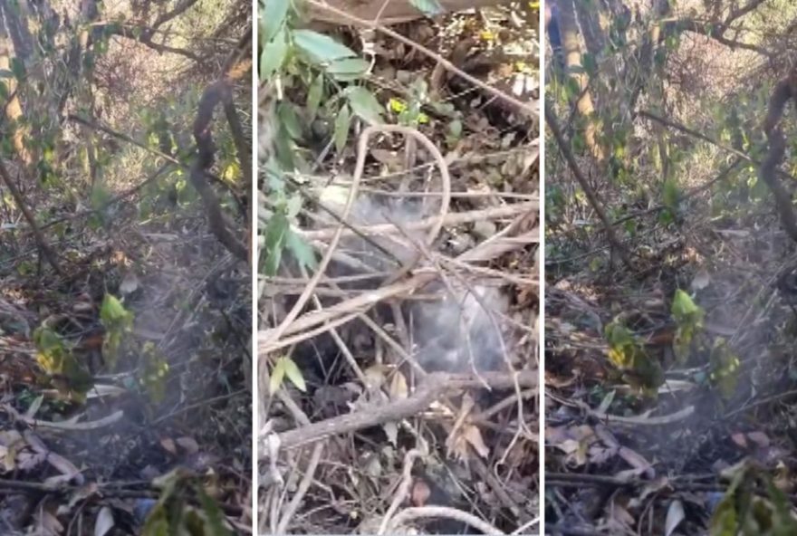 fumaca-preocupa-moradores-em-franca2C-sp3A-mata-na-zona-norte-em-chamas