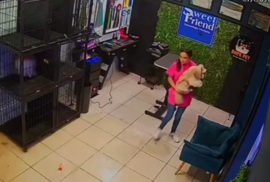 funcionarios-de-pet-shop-salvam-cachorros-de-inundacao-em-sorocaba-sp funcionarios-de-pet-shop-salvam-cachorros-de-inundacao-em-sorocaba-sp