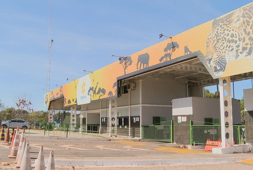 funcionarios-do-zoologico-de-brasilia-sao-monitorados-apos-contato-com-ave-com-sintomas.-gripe-aviaria-preocupa-e-zoologico-permanece-fechado