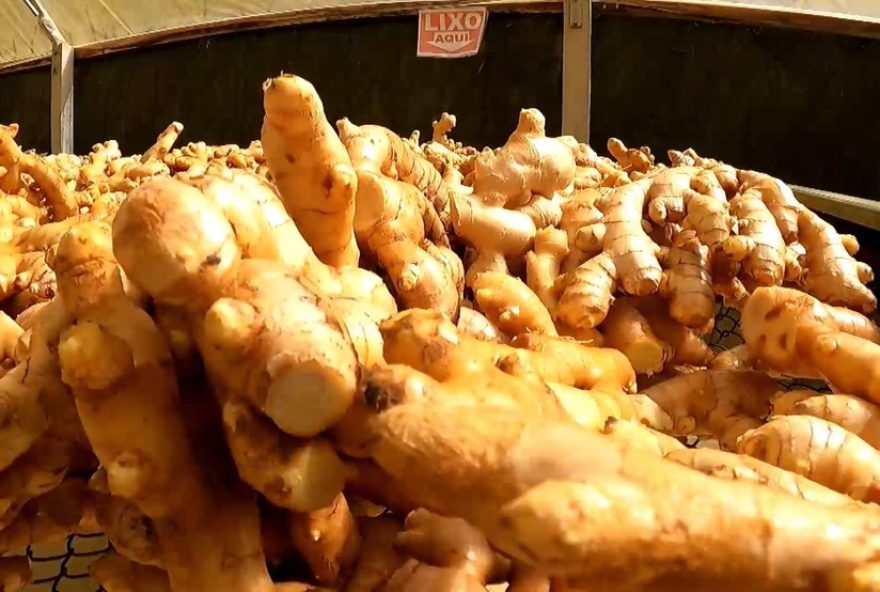 fundacao-procon-sp-identifica-variacao-de-ate-13025-em-produtos-de-festas-juninas-em-presidente-prudente3A-confira-os-detalhes