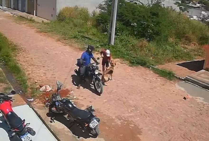 furto-de-cadela-pastor-alemao-em-juazeiro-do-norte3A-imagens-de-camera-de-seguranca-mostram-acao-criminosa-na-cidade-do-ceara