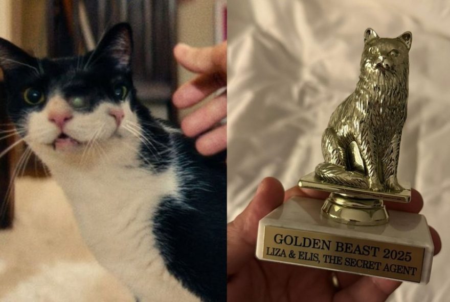 g1-do-filme-o-agente-secreto-vence-premio-golden-beast-nos-eua3A-carminha-e-destaque-como-liza-26-elis g1-do-filme-o-agente-secreto-vence-premio-golden-beast-nos-eua3A-carminha-e-destaque-como-liza-26-elis