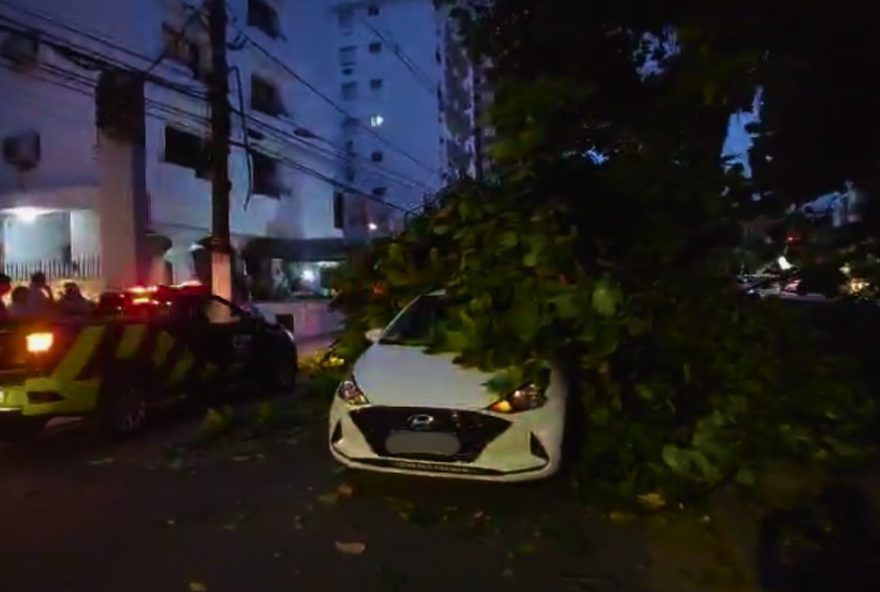 galho-de-arvore-cai-sobre-carros-e-interdita-canal-em-santos2C-sp