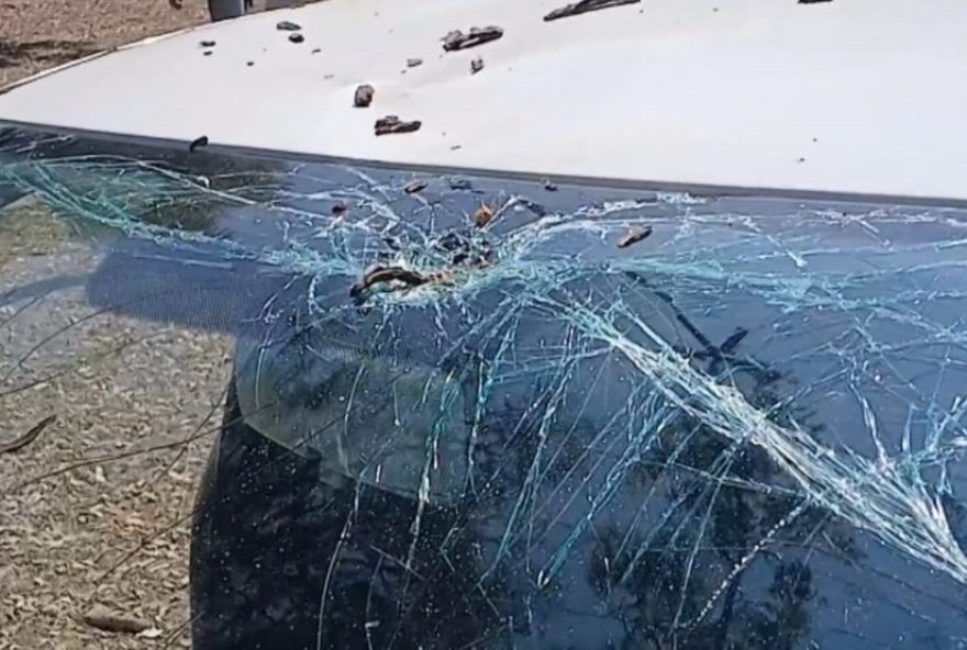 galhos-caem-sobre-carro-de-motorista-de-aplicativo-em-mogi-das-cruzes3A-incidente-alerta-para-necessidade-de-manutencao-preventiva-das-arvores-urbanas
