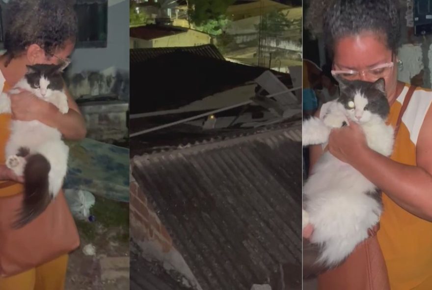 gata-resgatada-em-meio-aos-escombros-apos-explosao-em-olinda3A-estou-com-o-coracao-menos-apertado gata-resgatada-em-meio-aos-escombros-apos-explosao-em-olinda3A-estou-com-o-coracao-menos-apertado