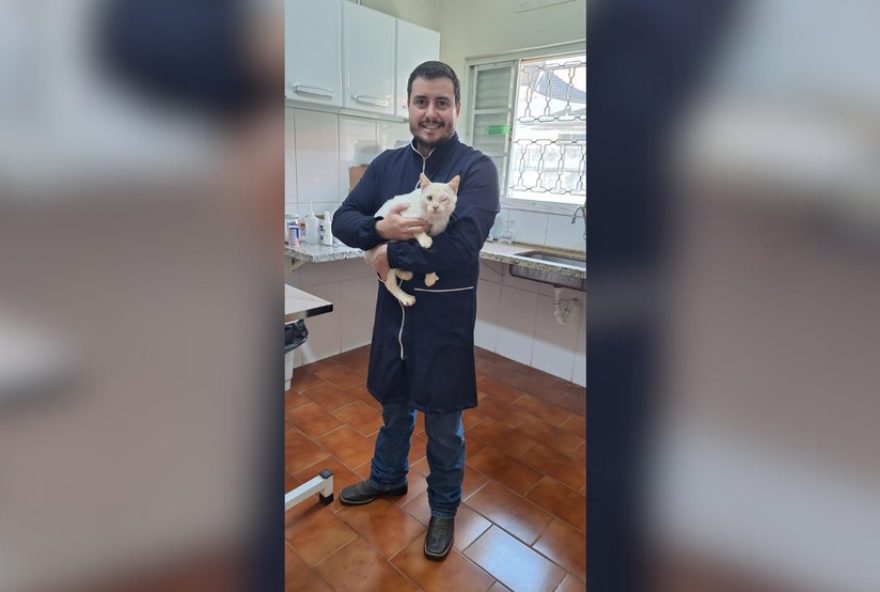 gato-vitorio-gabriel-supera-maus-tratos-e-encontra-novo-lar-apos-cirurgia-de-emergencia