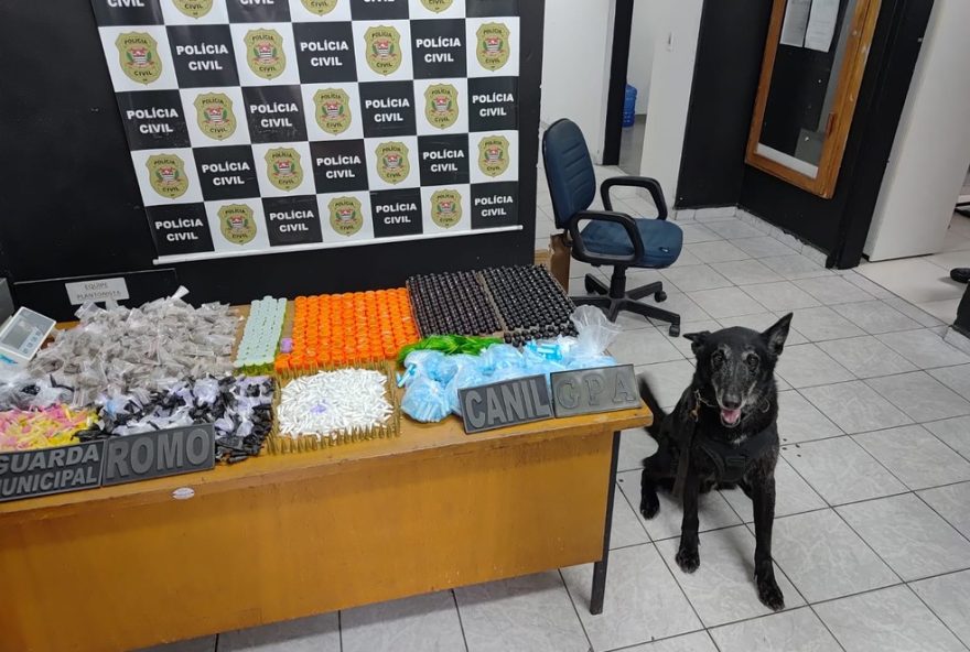 gcm-de-suzano-apreende-152C2-kg-de-drogas-em-22casa-bomba22-no-jardim-maite3A-denuncias-anonimas-sao-essenciais gcm-de-suzano-apreende-152C2-kg-de-drogas-em-22casa-bomba22-no-jardim-maite3A-denuncias-anonimas-sao-essenciais