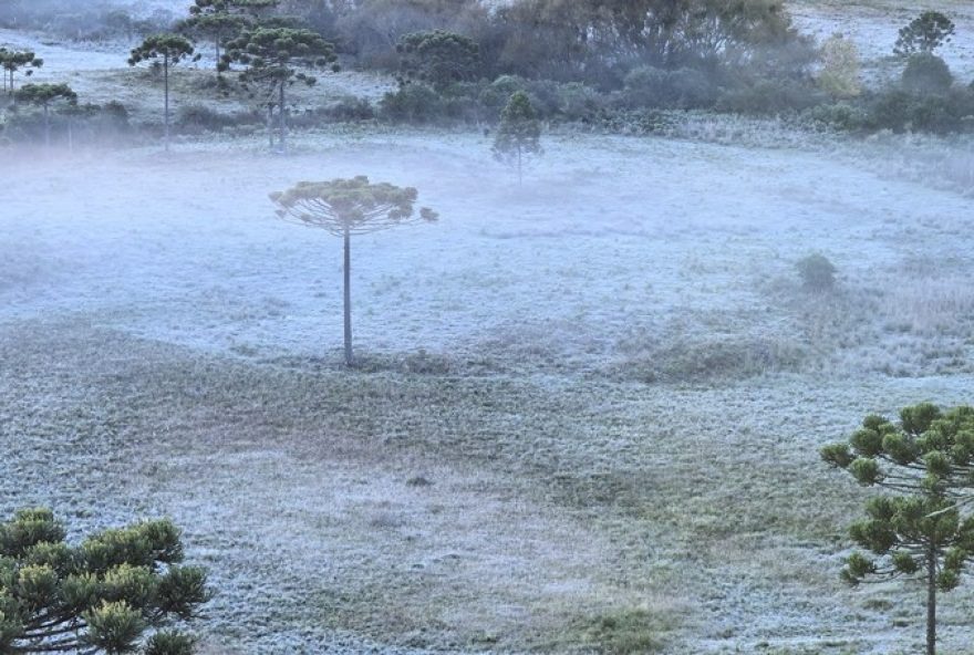 geada-ampla-e-frio-intenso-marcam-sexta-feira-em-sc2C-defesa-civil-alerta-para-baixa-visibilidade