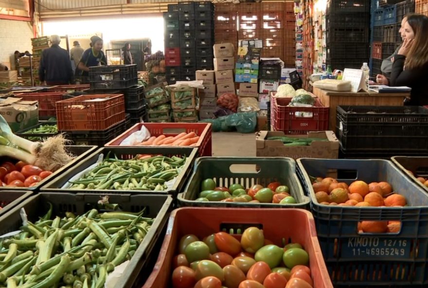 geada-no-sul-de-minas-impacta-precos-de-vegetais-em-pouso-alegre2C-mg3A-saiba-mais