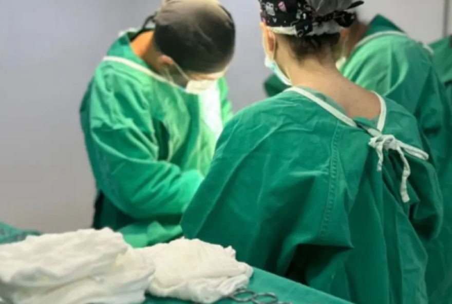 goiania-celebra-o-nascimento-dos-primeiros-gemeos-siameses-de-2026-em-parto-de-alta-complexidade goiania-celebra-o-nascimento-dos-primeiros-gemeos-siameses-de-2026-em-parto-de-alta-complexidade