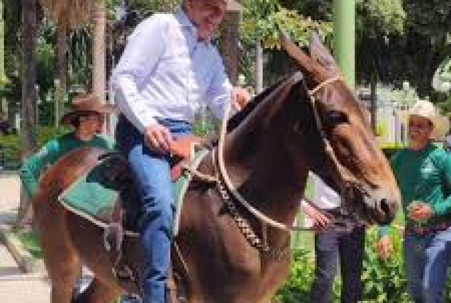 governador-ronaldo-caiado-passa-domingo-de-carnaval-em-fazenda governador-ronaldo-caiado-passa-domingo-de-carnaval-em-fazenda