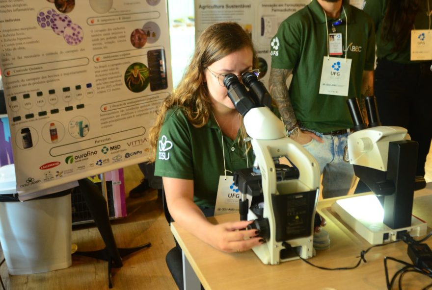 governo-de-goias-investe-mais-de-r24-132C2-milhoes-em-bolsas-de-mestrado-e-doutorado governo-de-goias-investe-mais-de-r24-132C2-milhoes-em-bolsas-de-mestrado-e-doutorado