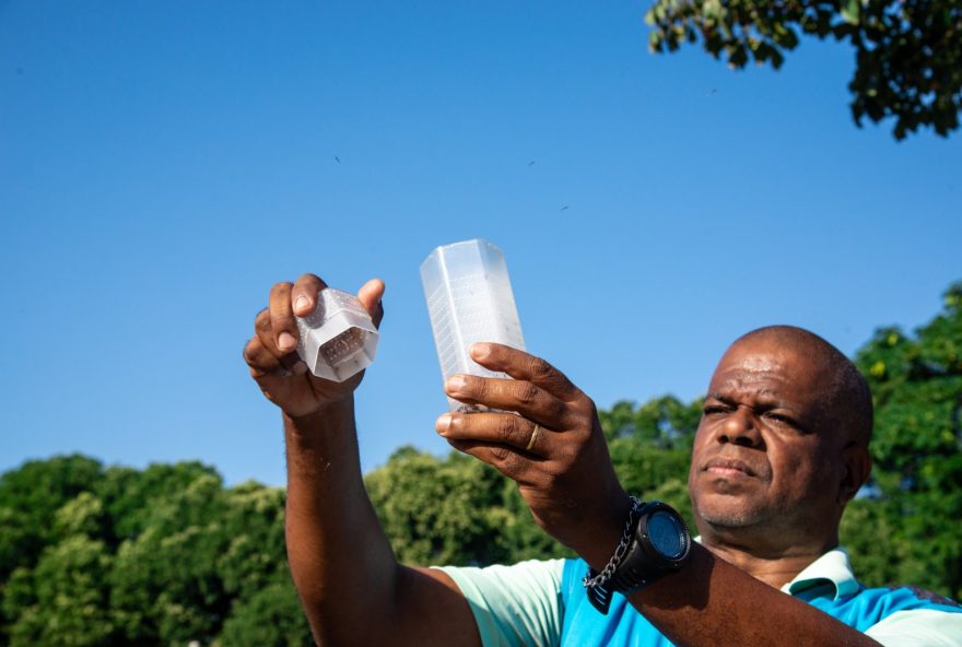governo-de-goias-participa-do-lancamento-de-mosquitos-aedes-aegypti-inofensivos