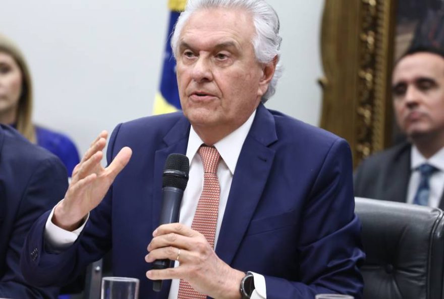 governo-de-goias-recebe-autoridades-japonesas-para-discutir-terras-raras-no-estado