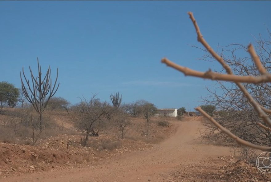 governo-de-pernambuco-decreta-situacao-de-emergencia-em-107-municipios-devido-a-estiagem3A-medidas-e-investimentos-para-enfrentar-a-crise-hidrica governo-de-pernambuco-decreta-situacao-de-emergencia-em-107-municipios-devido-a-estiagem3A-medidas-e-investimentos-para-enfrentar-a-crise-hidrica