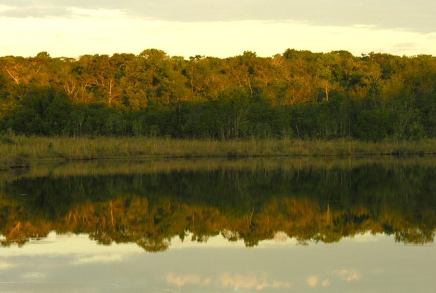 governo-de-sao-paulo-abre-concurso-publico-para-pesquisador-cientifico-na-area-ambiental governo-de-sao-paulo-abre-concurso-publico-para-pesquisador-cientifico-na-area-ambiental