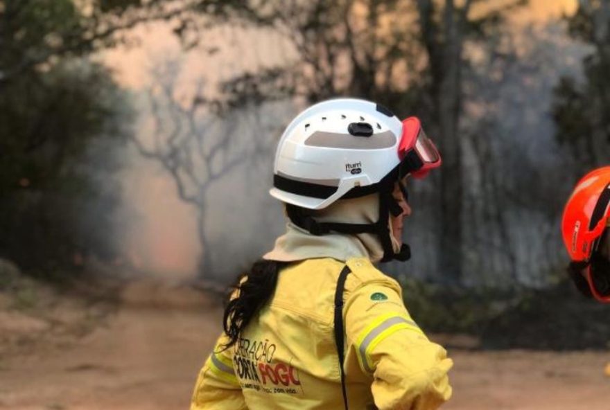 governo-de-sp-abre-inscricoes-para-selecao-de-243-brigadistas-temporarios governo-de-sp-abre-inscricoes-para-selecao-de-243-brigadistas-temporarios
