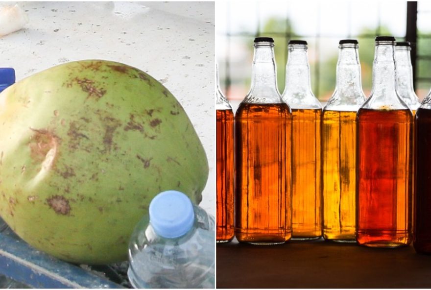 governo-do-ceara-apoia-empresas-locais-afetadas-por-tarifas-dos-eua-com-compra-de-agua-de-coco-e-cajuina