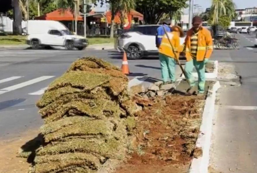 grama-sintetica-e-retirada-de-canteiros-em-goiania grama-sintetica-e-retirada-de-canteiros-em-goiania