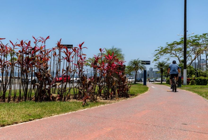 grupo-estrutura3A-inovacao-e-sustentabilidade-em-santos-50-anos-de-diferenciais-imobiliarios