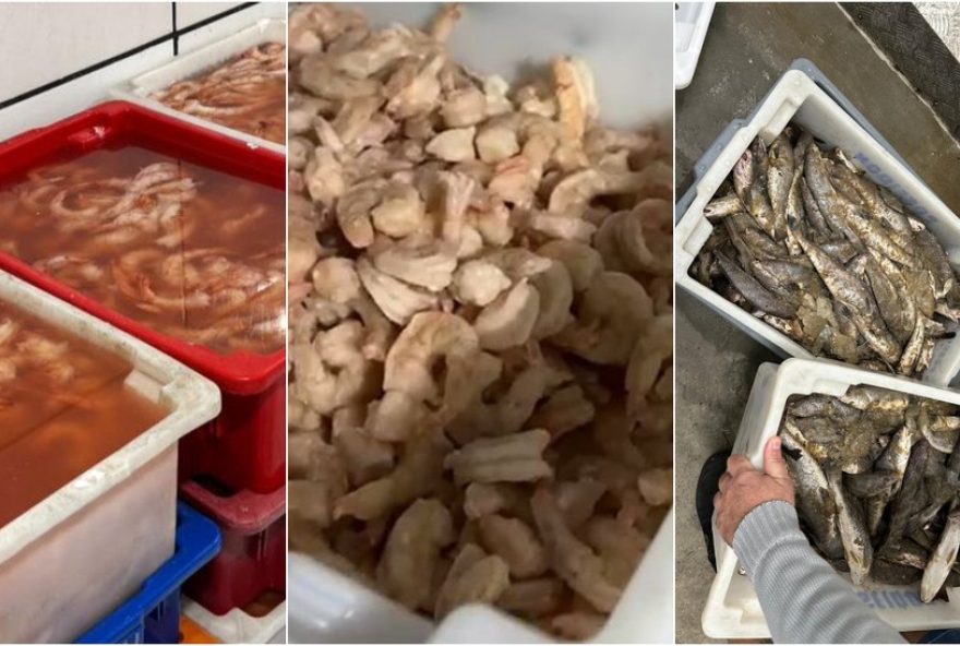 grupo-suspeito-de-adulterar-pescados-e-alvo-da-pf-em-7-estados3A-operacao-miraculum-piscis-combate-fraudes-no-setor-pesqueiro