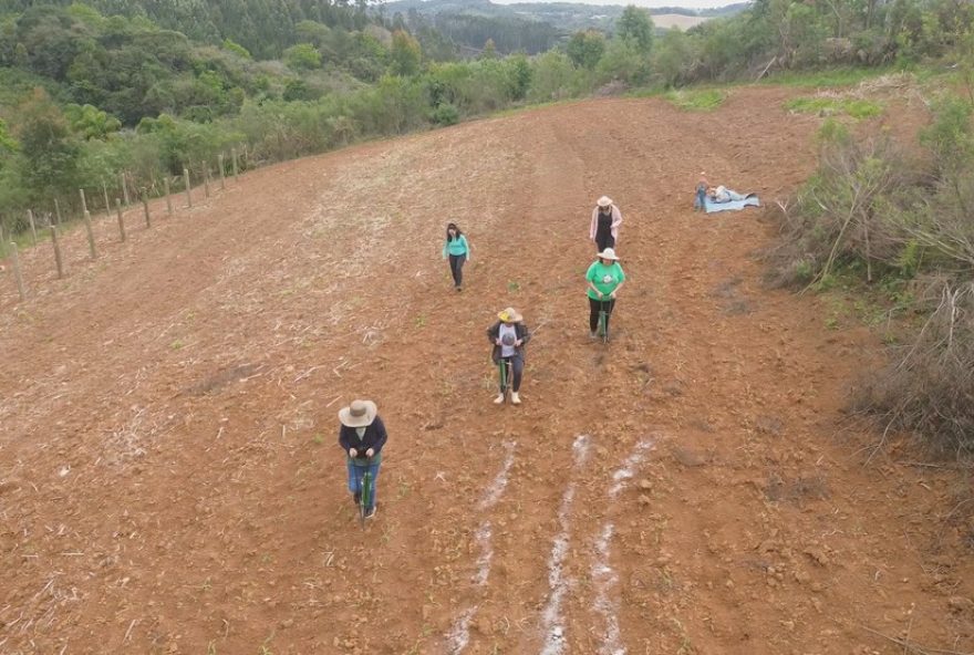 guardias-de-sementes-no-parana-preservam-variedades-raras-de-milho