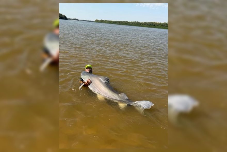 guia-de-goias-relata-ter-pescado-maior-peixe-do-vale-do-araguaia-video