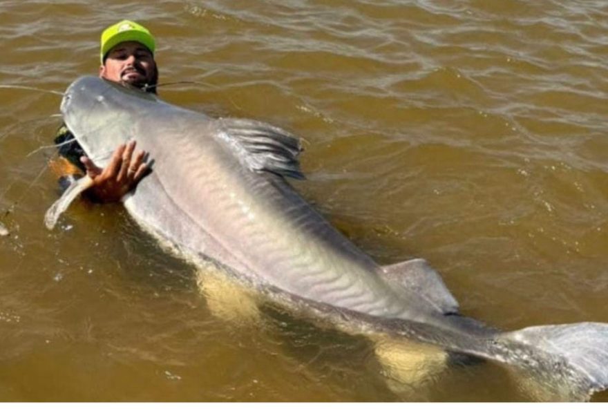 guia-turistico-captura-piraiba-de-100-kg-no-rio-araguaia3A-confira-a-emocionante-pescaria-em-nova-crixas2C-2025