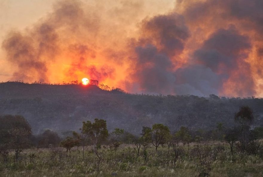 historico-de-incendios-ameaca-a-chapada-dos-veadeiros3A-patrimonio-natural-do-cerrado-em-perigo
