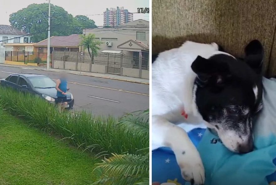 homem-atropelado-em-calcada-no-rs-segue-na-uti3B-veja-o-que-se-sabe-ate-agora homem-atropelado-em-calcada-no-rs-segue-na-uti3B-veja-o-que-se-sabe-ate-agora