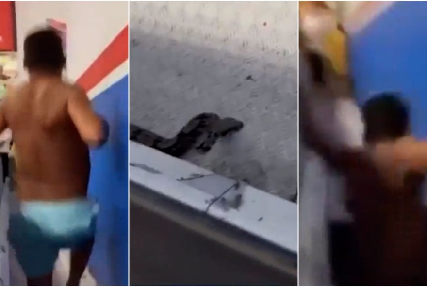 homem-cai-em-esteira-rolante-ao-tentar-capturar-cobra-em-supermercado-de-sao-luis