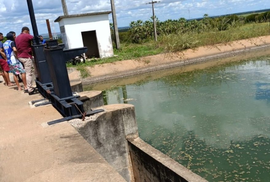 homem-de-53-anos-morre-ao-pular-em-canal-para-fugir-de-ataque-de-abelhas-no-ceara