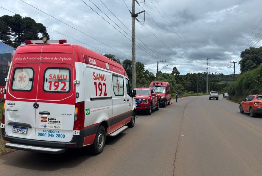 homem-e-atacado-por-mais-de-100-abelhas-em-cacador2C-sc3A-resgate-as-pressas-pelos-bombeiros homem-e-atacado-por-mais-de-100-abelhas-em-cacador2C-sc3A-resgate-as-pressas-pelos-bombeiros