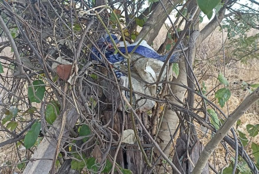 homem-e-decapitado-em-minas-gerais3A-suspeito-preso-apos-familia-denunciar-crime-na-zona-rural-de-ponto-chique
