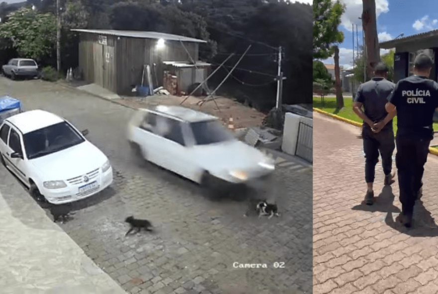homem-e-denunciado-por-maus-tratos-a-animais-apos-atropelar-caes3A-caso-choca-moradores-e-reacende-debate homem-e-denunciado-por-maus-tratos-a-animais-apos-atropelar-caes3A-caso-choca-moradores-e-reacende-debate