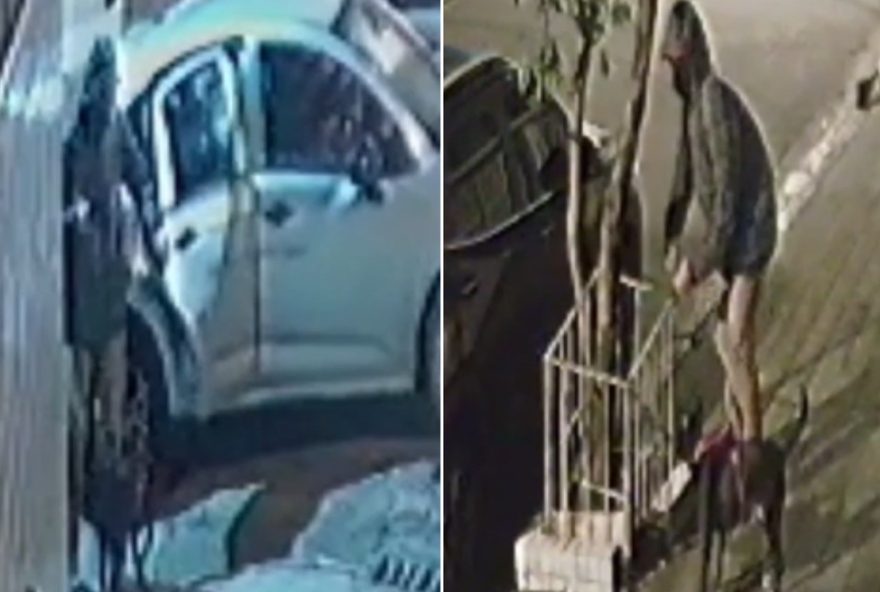 homem-e-flagrado-abandonando-cachorro-em-canteiro-em-santos2C-sp3A-atitude-gera-revolta-na-regiao