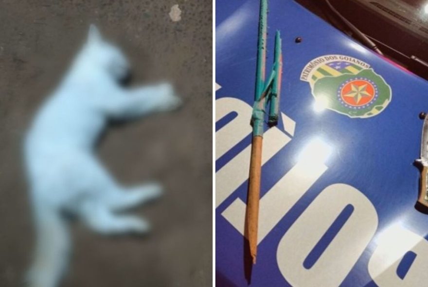 homem-e-morto-apos-briga-por-morte-de-gato-de-estimacao3A-policia-revela-detalhes