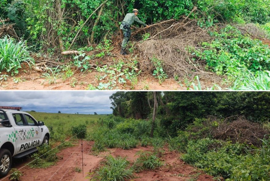 homem-e-multado-em-mais-de-r24-5-mil-por-supressao-ilegal-de-vegetacao-em-salmourao homem-e-multado-em-mais-de-r24-5-mil-por-supressao-ilegal-de-vegetacao-em-salmourao