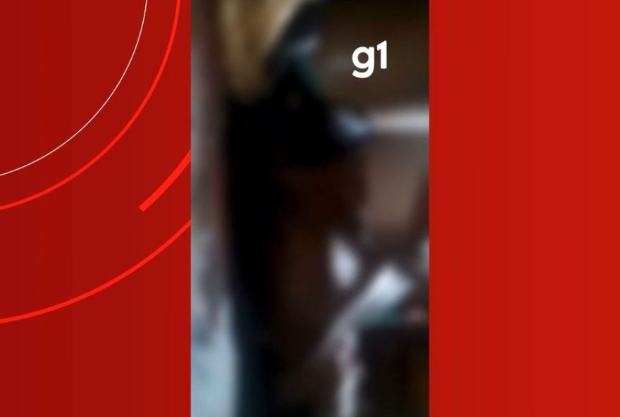 homem-e-preso-apos-video-de-agressao-a-filha-viralizar-no-de-amazonas homem-e-preso-apos-video-de-agressao-a-filha-viralizar-no-de-amazonas